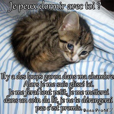 Peut Dormir Avec Toi